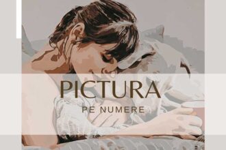 pictura-pe-numere-hobby