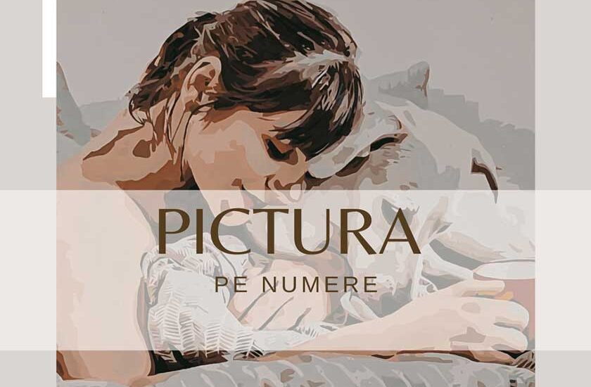 pictura-pe-numere-hobby